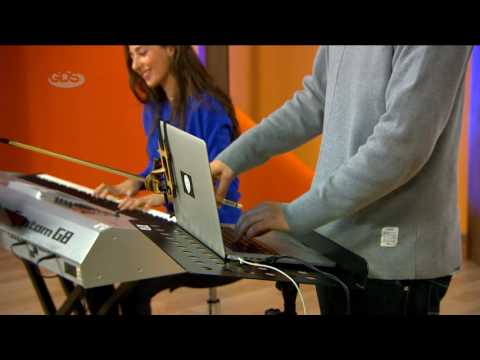 კოკა ნიკოლაძე, ირმა გიგანი | მომაკვდავი გედი