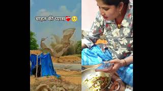 kuch dhika #duet #funny #comedy #comedyroast #comedyfilms #dance #reaction #comedymove