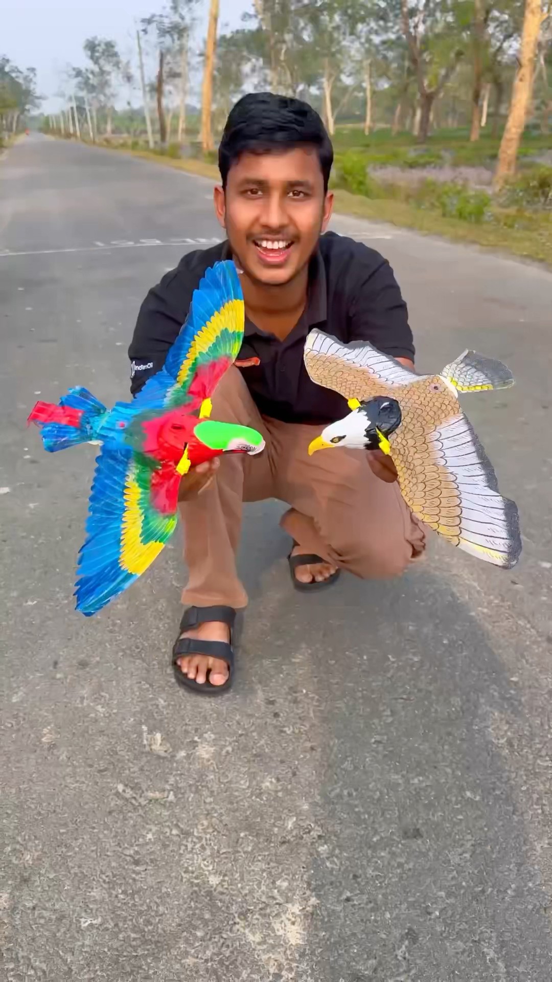 Remote control eagle vs parrot ?