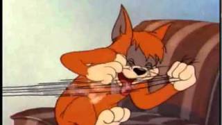 Video voorbeeld van "Tom & Jerry- Parno Graszt - Romano Bijo (Original Music)"