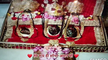 AJ NACH LO BHAGDE PAA LO MATA RANI AAI YE (BY-MANINDER JI) MAA VAISHNO DEVI BHAJAN (7TH JUNE 2022PM)