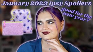 JANUARY 2023 IPSY GLAM BAG PLUS & GLAM BAG SPOILERS: VLOGMAS DAY 15