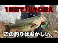 めちゃくちゃ簡単に50upがポンポン釣れる魔法の釣りがヤバすぎました。