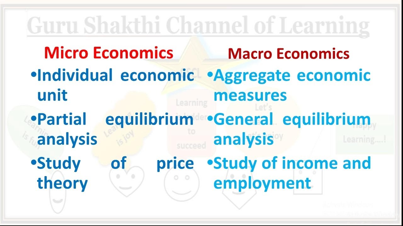 Positive, Normative, Micro and Macro Economics - YouTube