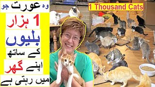 Woman lives with 1000 Cats - Story of &#39; The Cat Lady &#39;