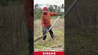 Traditional Farming Tool for Clearing Land Quickly Using a Manual Root Cutter