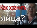 Хранение яиц для инкубации | Результат инкубации