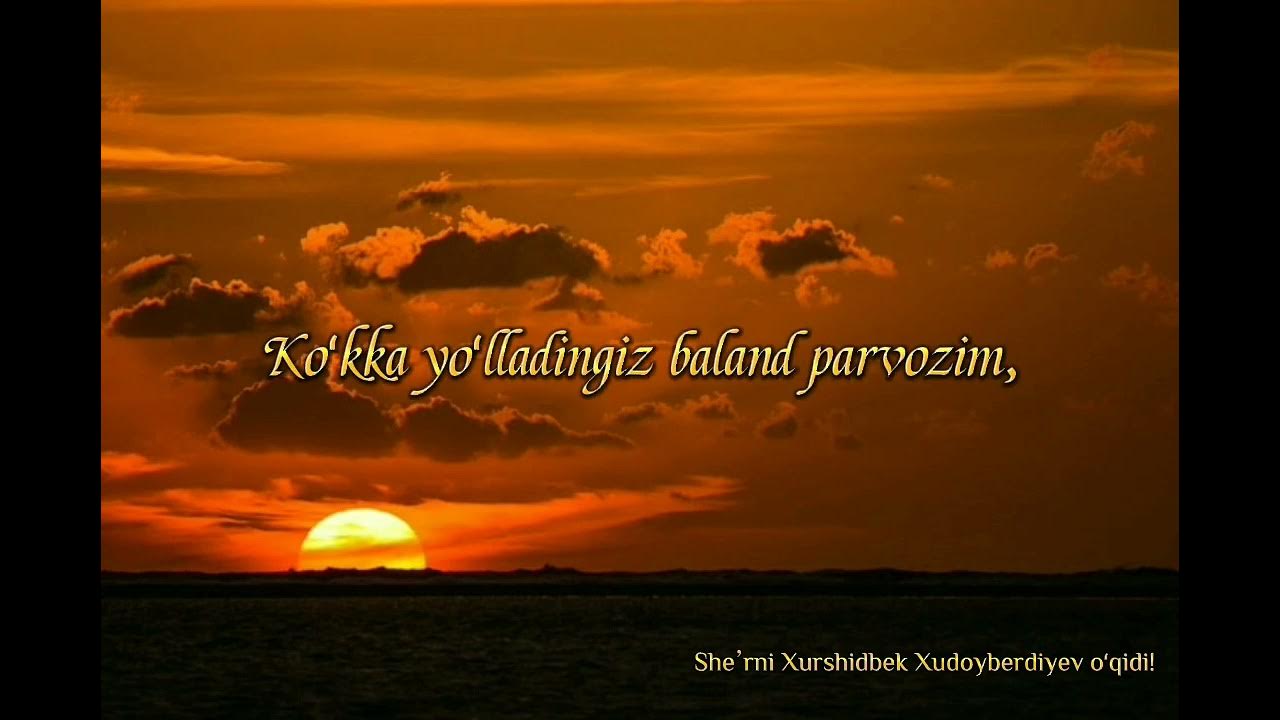 Yosh qizning mushuk suratidagi Dik