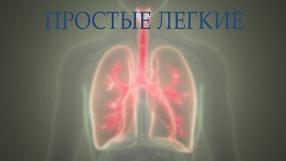 Простые легкие