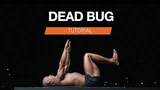 Bodyweight Exercise For Lower Back Pain | Dead Bug Tutorial