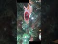 Wait for it #edit