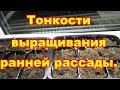 Вырастить раннюю рассаду сложно,за то наградой вам будут ранние плоды