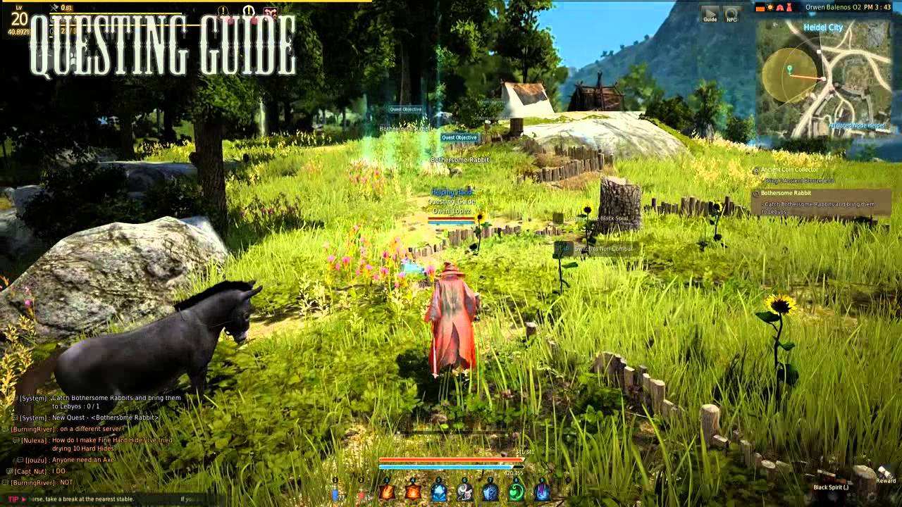 Black Desert Daily Bothersome Rabbit YouTube