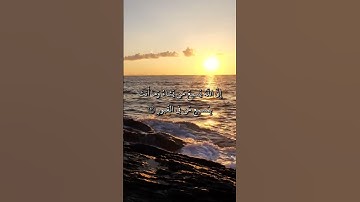 سورة فاطر - وما يستوي الأعمى والبصير۝ولا الظلمات ولا النور۝ولا الظل ولا الحرور