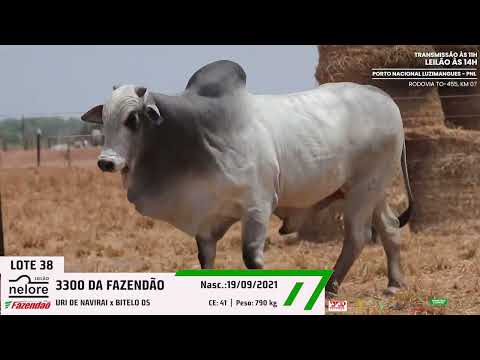 LOTE 38