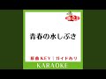 青春の水しぶき(ボートピア選抜) (カラオケ) (原曲歌手:SKE48)
