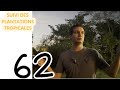 Suivi plantation des 60 arbres tropicaux  vlog 062