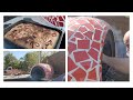 Barrel Pizza Oven - Did It Survive Winter ? - Focaccia Attempt II