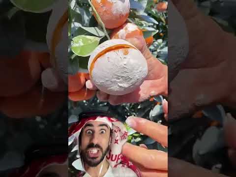 شنو داخل العارانج
