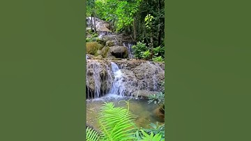 اجمل القصص سورة يوسف ||بصوت محمد الكسابرة