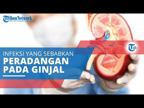 Video: Nefritis (radang Ginjal) - Penyebab Dan Gejala Nefritis, Pengobatan Nefritis