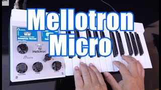 Mellotron Micro Demo & Review
