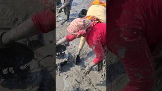 Women catching huge big catfish by hand in deep muddy water #fishing #fish_hunting #catfish #shorts