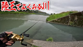 陸王チャンピオンも苦戦！天才バスだらけの波介川でネスト探し