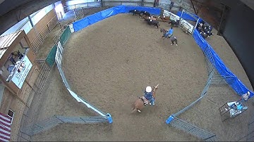Big Sky Ranch Sorting Saddle Series #4 - #8 HC RANCH HAND (2 CAP SORTER) - Round #1 - Ride #5