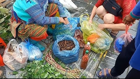 tuyên khánh I chợ phiên bán nhiều dược liệu nông sản nhất VIỆT NAM I Cuộc sống con người vùng cao.