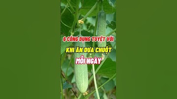 6 Công Dụng Tuyệt Vời Khi Ăn Dưa Chuột Mỗi Ngày | Dược Sĩ Đại Minh #dsdaiminh #dinhduong #shorts