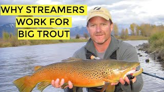 Kelly Galloup | Why Streamers Work for Big Trout