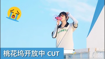 【Eng sub】Zhang Xingte & friends emotional last day｜Wonderland Junior【张星特】和朋友们灯塔喊话：好感动《桃花坞开放中》最后一天CUT