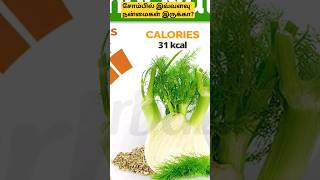 Top Health Benefits  of  Fennel  Seeds | Informative  Thoughts Tamil