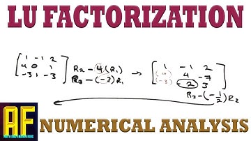 LU Factorization Without Pivoting and Finding the Determinant