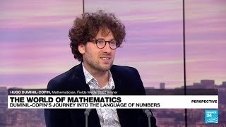 Fields Medal laureate Hugo Duminil-Copin on the creativity and sensibility of maths • FRANCE 24