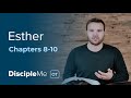 Esther 8-10 | How Can You Help?