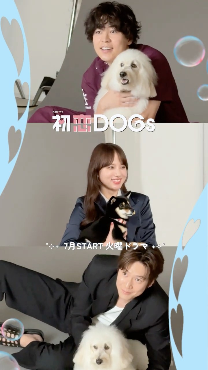 初恋DOGs』🐕ビジュアル撮影の様子📸 #清原果耶 #成田凌 #ナイヌ - YouTube