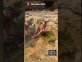 حسني يخرى الخوخ 