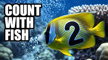 🐟 Count Fish From 1 to 10! 🌊✨ | Underwater Counting Adventure for Kids