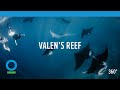 Valen's Reef (360 video) | Conservation International (CI)