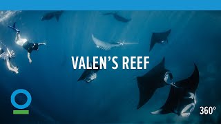 Valen's Reef (360 video) | Conservation International (CI)