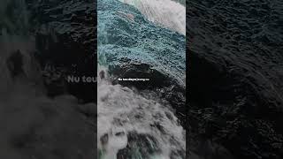 Download Mp3 kedah kumaha 011# #shortvideo #lemburkuring #fypシ゚viralyoutube Gudang lagu Download Mp3 kedah kumaha 011# #shortvideo #lemburkuring #fypシ゚viralyoutube