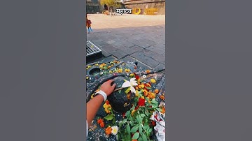 Mahadev Status 💫 Bholenath Status 🕉️ Shivji Status 🙏#mahadev #ujjainkaraja #viralshorts