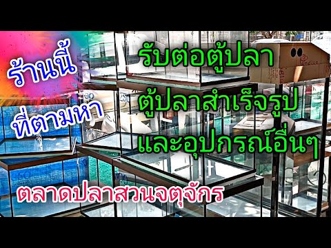 ร้านทำตู้ปลา ตู้ไม้น้ำ ที่สวนจตุจักร#NCO544
