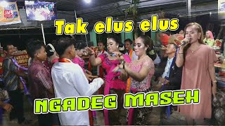 TAK ELUS ELUS METU MASEEEHH || gubug asmoro katampen madiun ngawi