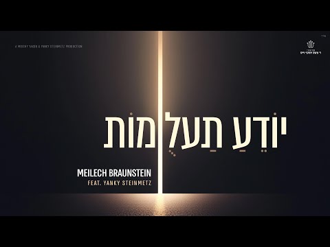 Yodeah Ta’alumos - Meilech Braunstein feat. Yanky Steinmetz | יודע תעלומות - מיילך ברוינשטיין