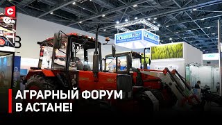 Казахи начали просто СМЕТАТЬ наши продукты! | Какие товары представила Беларусь на аграрном форуме?