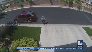 Delivery driver caught on camera allegedly trying to steal package