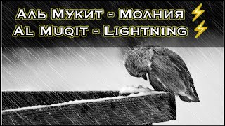 💛Lightning-Ahmad al Muqit⚡️/Ахмад аль Мукит-Молния⚡️